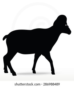 Vector Image - big horn sheep  silhouette in walking  pose isolated on white background