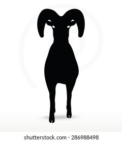 Vector Image - big horn sheep  silhouette in walking  pose isolated on white background