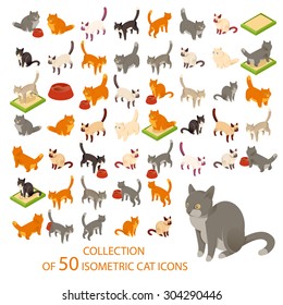 Vector Image Of A Big Set Of Cat Isometric Icons 