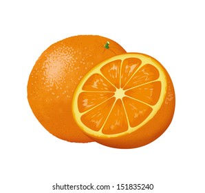 Vector image of big sweet tasty orange
