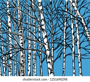 Vector image of a birch grove in the cold season
