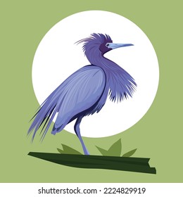 Vector image of a bird. Blue heron.