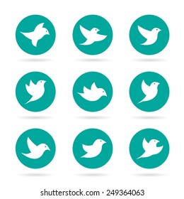 Vector image of an bird in the circledesign on white background, Vector bird Icon for your design.