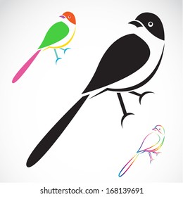 Vector image of an bird design on white background, Vector bird for your design.