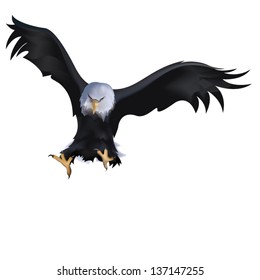 The vector image of a bird. An eagle, a symbol.