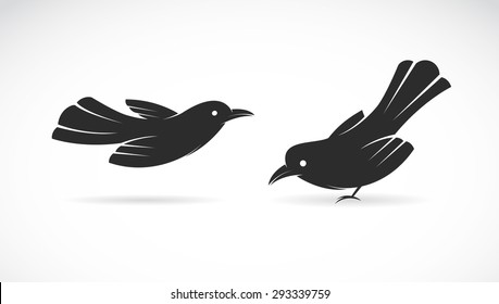 Vector image of an bird on white background