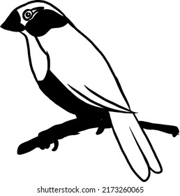 Vector image of a bird perching on a wooden branch