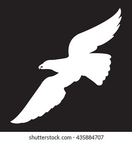 vector image of a bird of prey