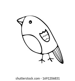 Vector image of birds drawn in doodle, outline style on a white background. It can be a seagull, a bullfinch, a sparrow. For stickers, children's literature, printing, for sites of ornithologists.