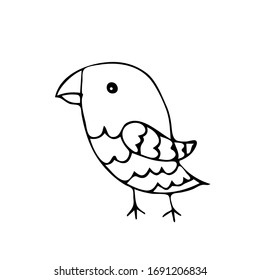 Vector image of birds drawn in doodle, outline style on a white background. It can be a seagull, a bullfinch, a sparrow. For stickers, children's literature, printing, for sites of ornithologists.