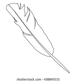 vector image of the bird's feather