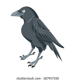 Vector image of an black Cartoon Raven