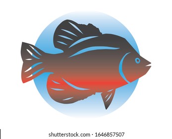 Vector Image Of A Black Crappie Fish