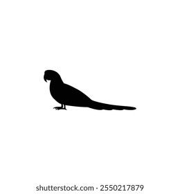 Vector image of a black maccow parrot on an isolated white background.