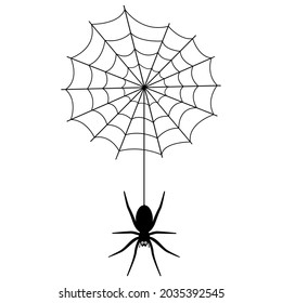 Vector image of an black spider with cobwebs on a white background