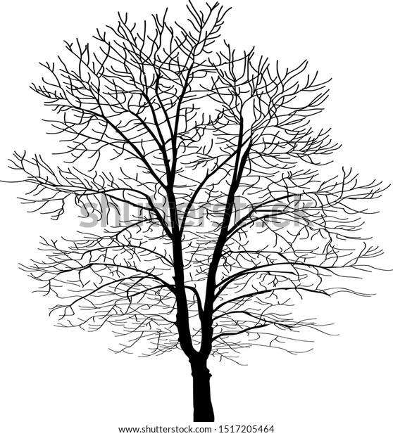 Vector Image Black Tree Big Tall Stock Image Download Now