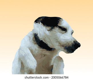 Vector image of a black and white dog, waiting for cuddles.