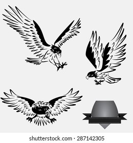 Vector image. Black and white eagle on a grey background