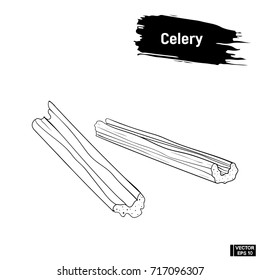 Vector image. Black and white sketch, pieces of celery. Vegetarian cuisine