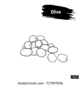 Vector image. Black and white sketch of olives. A bunch of olives, an imitation of ink.