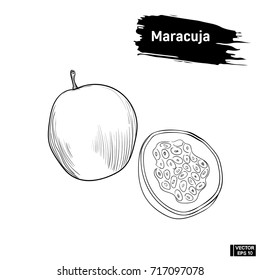 Vector image. Black and white sketch of exotic fruit maracuja. Passion fruit outline, imitation of ink.