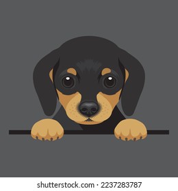 Vector image of a black-tan Dachshund dog. Cute puppy