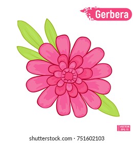 Vector image. Blooming gerbera. Isolated picture of an pink gerbera on a white background.