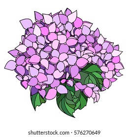 
Vector image of blooming hydrangeas. Decorative element for design, card or label. Printing on clothing, t-shirt.
