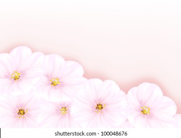 Vector image of blossom Oriental cherry tree