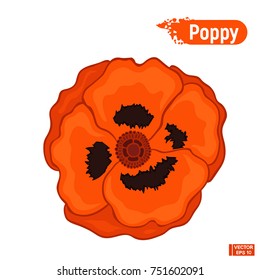 Vector image. A blossoming poppy flower. Day of Memory Symbol