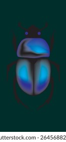 Vector image of the blue beetle illustration 