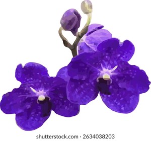 vector image of a blue purple orchid flower on a white background