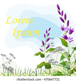 vector image of bluebells, dandelions and wild flowers. Flowering meadow. Card with a summer theme.