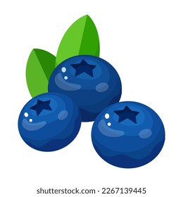 Vector image of blueberries. The concept of a healthy diet and lifestyle. A ripe and delicious product. A bright element for your design