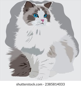 vector image of a blue-eyed cat, very dense fur, and a cute cat