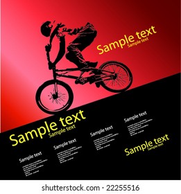 vector image of BMX cyclist