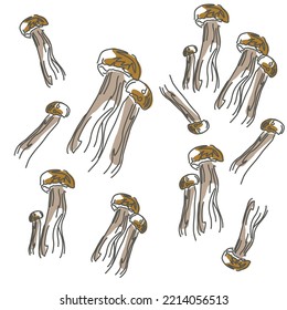 Vector image of a boletus mushroom. The most beautiful autumn time. The fruits of the forest. Eco pattern of mushrooms
