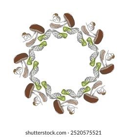 Imagem vetorial de um cogumelo boletus. A época de outono mais bonita. Os frutos da floresta. Eco-padrão de cogumelos