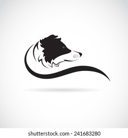 Vector image of an border collie dog on white background