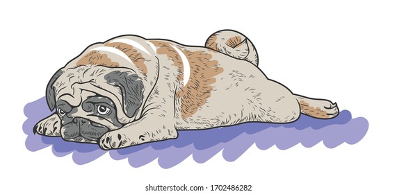 Vector image of a bored lying cute pug