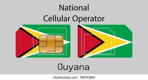 Vector image of both sides of a sim card with lines for its division into micro and mini sim cards, plotted on it image of the flag of Guyana and text "National cellular operator "