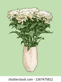 Vector image of bouquet of chrysanthemums in a vase