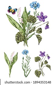 Vector image of bouquet drawn wildflowers with butterfly