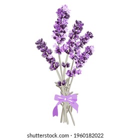 vector image of a bouquet of lavender with a bow in bright purple tones on a white background