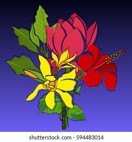 Vector image. Bouquet. The occasion. Spring. Summer. Floral