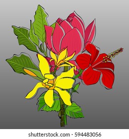 Vector image. Bouquet. The occasion. Spring. Summer. Floral