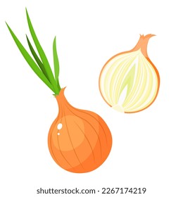 Vector image of a bow . The concept of a healthy diet and lifestyle. A ripe and delicious product. A bright element for your design