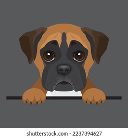 Vector image of a boxer dog dog. Cute puppy