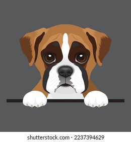 Imagen vectorial de un perro boxeador. Perrito de corte