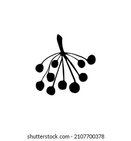 Vector image of a branch of berries. Hand drawn.